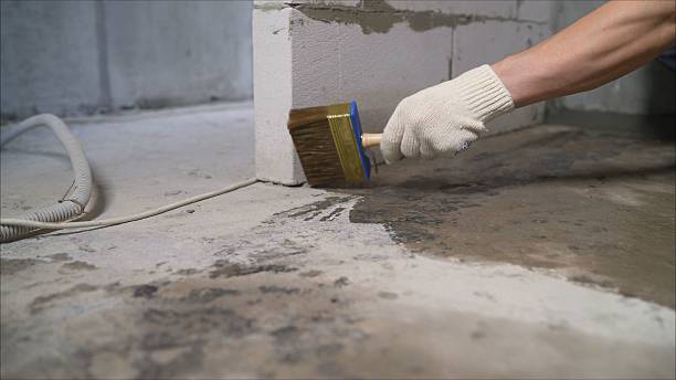 24/7 Emergency Wet Basement Repair experts in Grand Rapids, OH